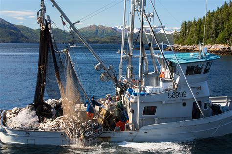 alaska fishing jobs